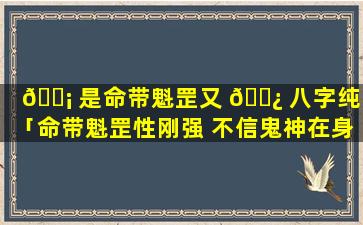 🐡 是命带魁罡又 🌿 八字纯阳「命带魁罡性刚强 不信鬼神在身旁是什么意思」